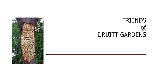 FoDG November 2020 Newsletter